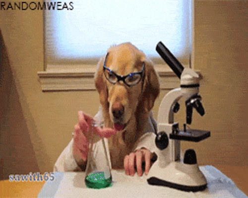 dog in chemistry clothes swirling green liquid in beaker.